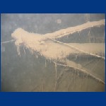 blaue_adria_012.jpg